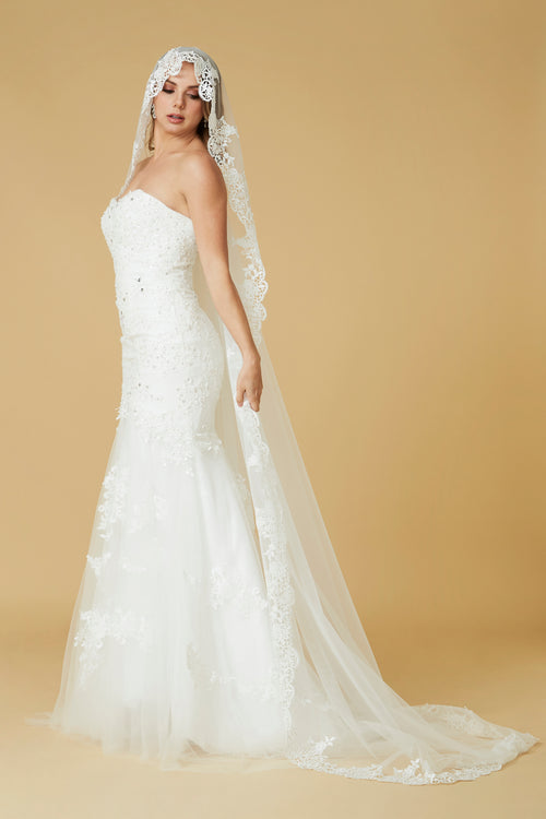Cecillia Lace Cathedral Bridal Veil