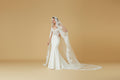 Rosemonde Lace Cathedral Bridal Veil
